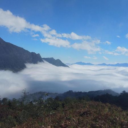 Dzay House Homestay Sapa Eksteriør billede