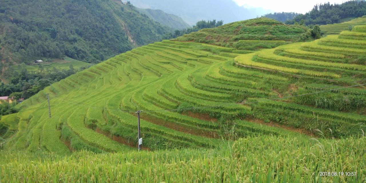 Dzay House Homestay Sapa Eksteriør billede
